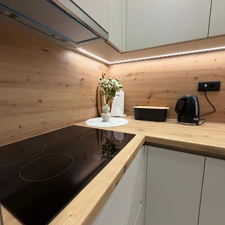 Vila Niko Deluxe Otok Vir